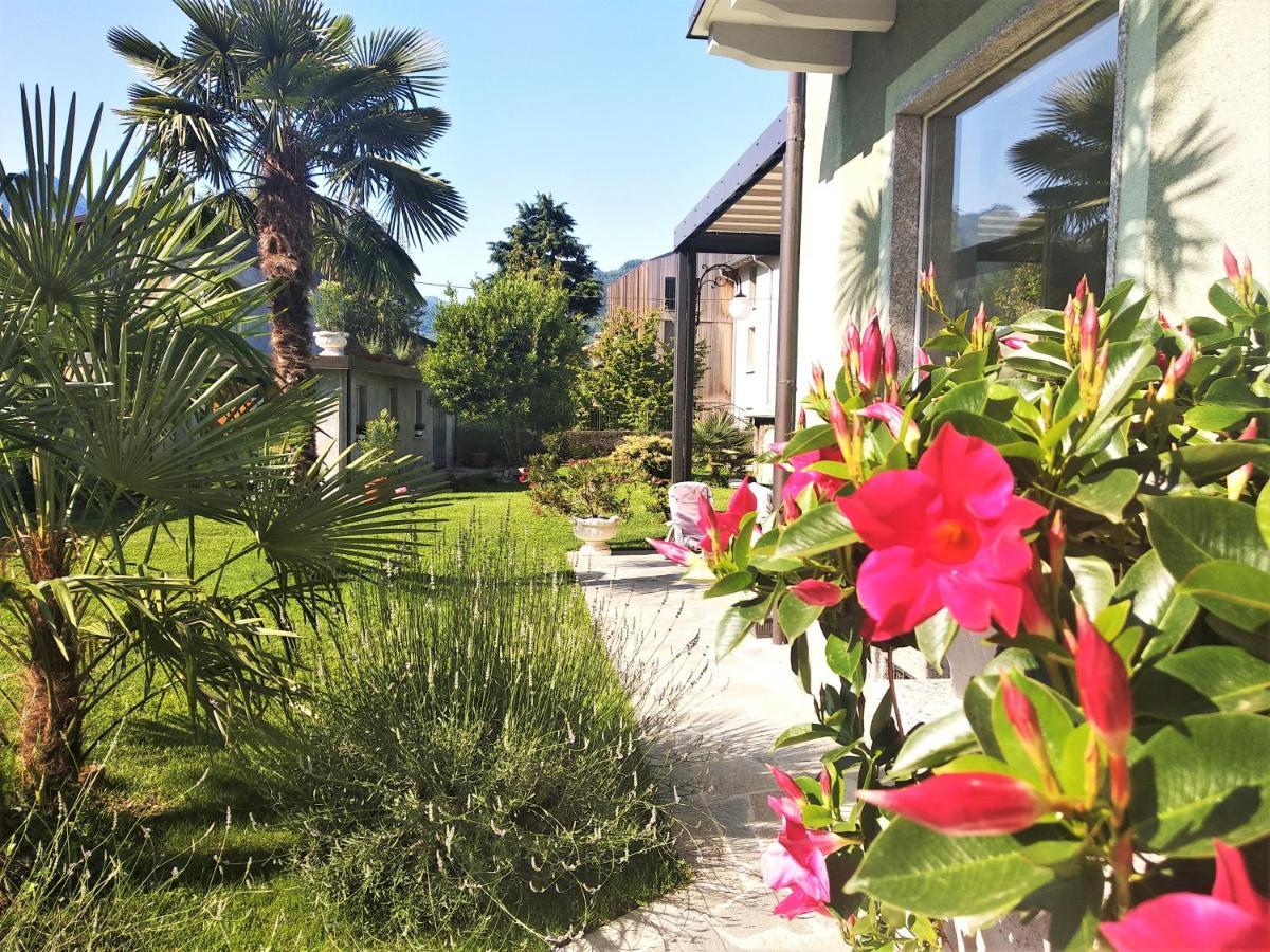 Residenza Laurum B&B Mandello del Lario Exterior foto