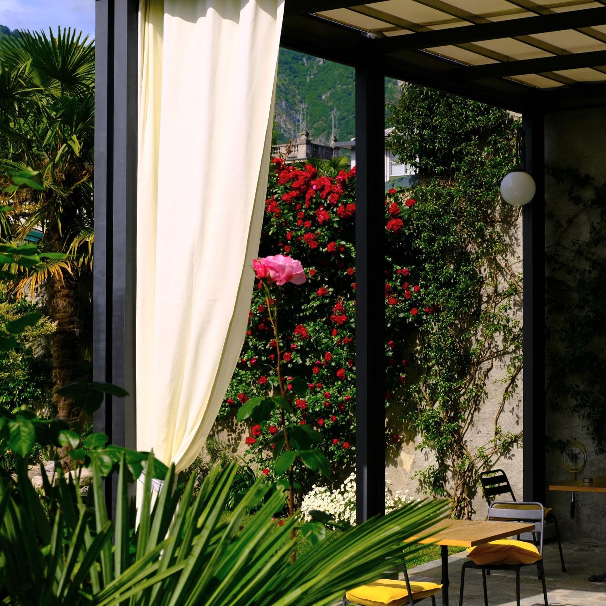 Residenza Laurum B&B Mandello del Lario Exterior foto